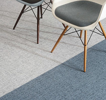 Canvas Canvas 540 фото 3 | FLOORDEALER